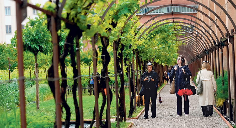 Der Garten – der Pavillon des Heiligen Stuhls legt mystische Dimensionen offen und ist von Hildegard von Bingen inspiriert. / APA-Images / AP / Luca Bruno Der Garten – der Pavillon des Heiligen Stuhls legt mystische Dimensionen offen und ist von Hildegard von Bingen inspiriert.
