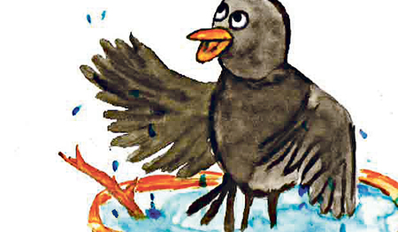 Die Amsel will baden – eine der Geschichten im kunterbunten Vorlesebuch der Caritas. 