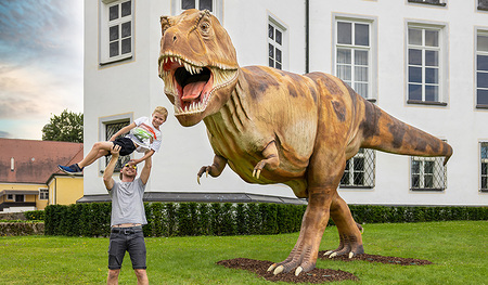 Der T-Rex in Lebensgröße. Aber ganz friedlich!