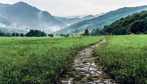 Zeige mir, Herr, deine Wege, lehre mich deine Pfade! / Unsplash, Lilli Popper Zeige mir, Herr, deine Wege, lehre mich deine Pfade!