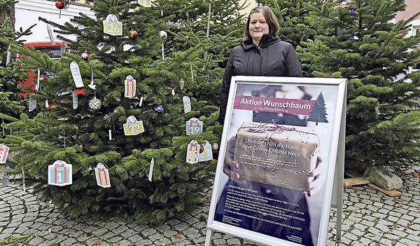 Viktoria-Anna Schapfl hat die Aktion „Wunschbaum“ in   Eferding initiiert.