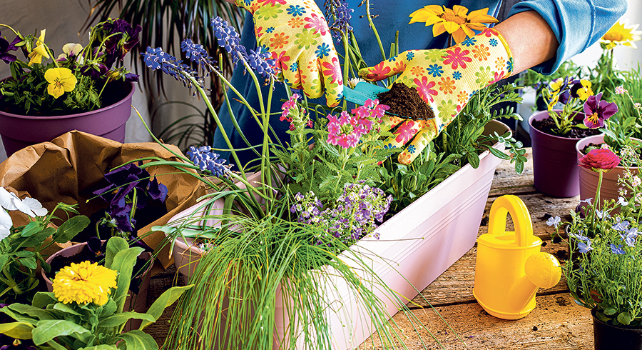 Endlich wieder Farbe nach dem langen, grauen Winter. / Pundapanda/Adobe Stock Endlich wieder Farbe nach dem langen, grauen Winter.