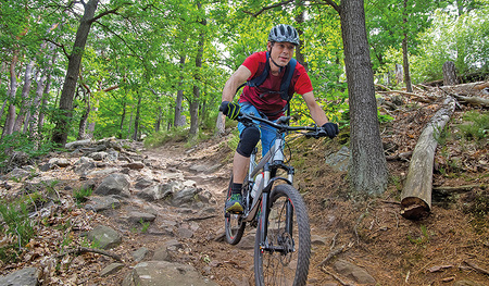 Der Frühling lockt Wanderfreudige und Mountainbiker:innen wieder in den Wald und auf Wanderwege. 