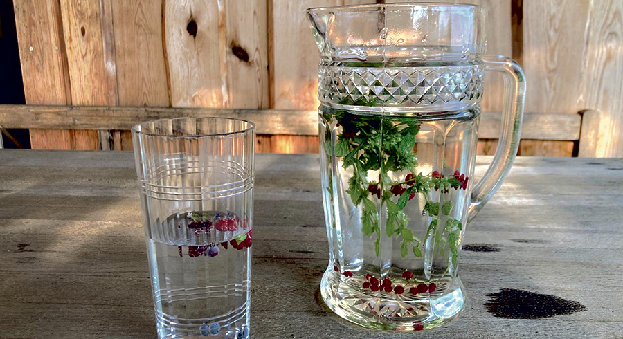 Ein paar Kräuter und Beeren im Wasserkrug sind schnell gefunden und machen das Trinken an heißen Tagen gleich viel interessanter. / Moser-Hofstadler Ein paar Kräuter und Beeren im Wasserkrug sind schnell gefunden und machen das Trinken an heißen Tagen gleich viel interessanter.