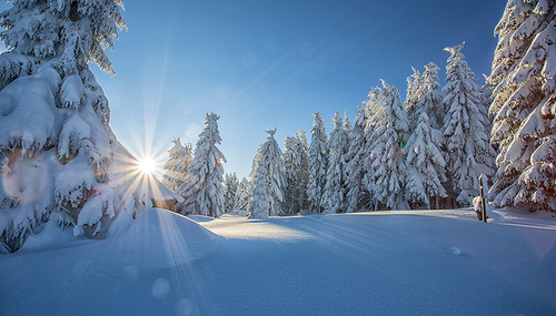 Friedvolle Winterlandschaft / Fotowerk, Diana_Drubig