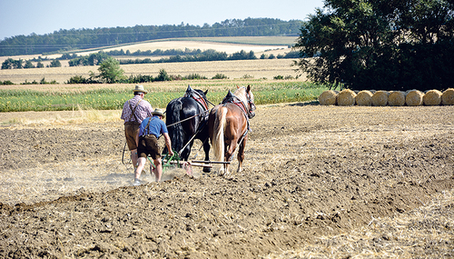 Pflugschar mit zwei PS. / Elisabeth Wertz Pflugschar mit zwei PS.