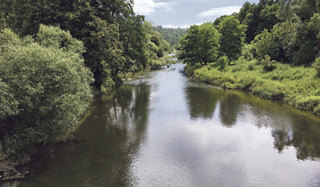 Kamp in Stiefern 