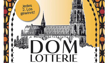 Die Lose können entweder in gedruckter Form oder gleich online auf www.domlotterie.at gekauft werden. 