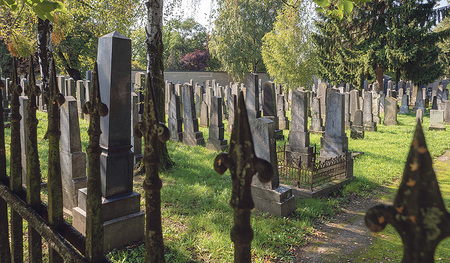 Der jüdische Friedhof in Linz  