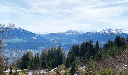 In der Bibel klatschen Bäume Beifall, und Berge können jubeln. Alles drückt Freude aus.