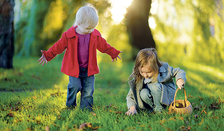 Esskastanie oder Rosskastanie? Die Unterscheidung ist eigentlich kinderleicht, achtet man zum Beispiel auf Fruchthülle oder Form.