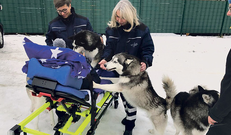 Einer der Wünsche, die erst vor wenigen Tagen erfüllt wurden: der Besuch auf einer Husky-Ranch.   