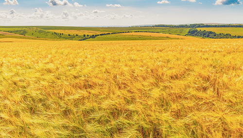 Im Vergleich zu Gott ist alles irdische Streben nur ein „Windhauch“. / pixabay.com/NeilMorrell Im Vergleich zu Gott ist alles irdische Streben nur ein „Windhauch“.