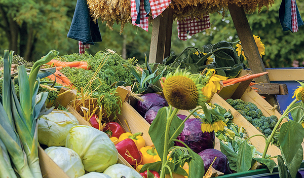 An vielen Orten wird im September und  Oktober Erntedank gefeiert und eine Erntekrone gebunden. 