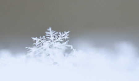 Eine Schneeflocke wiegt nur 0,004 Gramm. Leicht ist auch das Lebensgefühl, das die Geburt Jesu vermittelt. 