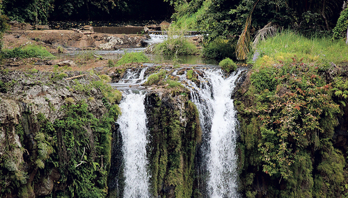 Auf den Wegen des Lebens mit Gott unterwegs. / nie Auf den Wegen des Lebens mit Gott unterwegs.