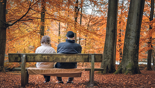 Im Herbst des Lebens stellt sich die Frage nach der eigenen Lebensbilanz.    / pixabay Im Herbst des Lebens stellt sich die Frage nach der eigenen Lebensbilanz.