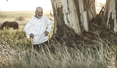 Benediktinermönch David Steindl-Rast wird am 12. Juli 95 Jahre alt.  